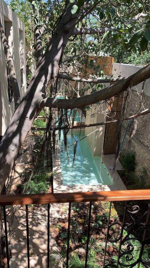 Treehouse Boutique Hotel, An Adults Only Boutique Hotel Merida Exterior photo