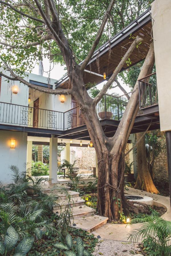 Treehouse Boutique Hotel, An Adults Only Boutique Hotel Merida Exterior photo